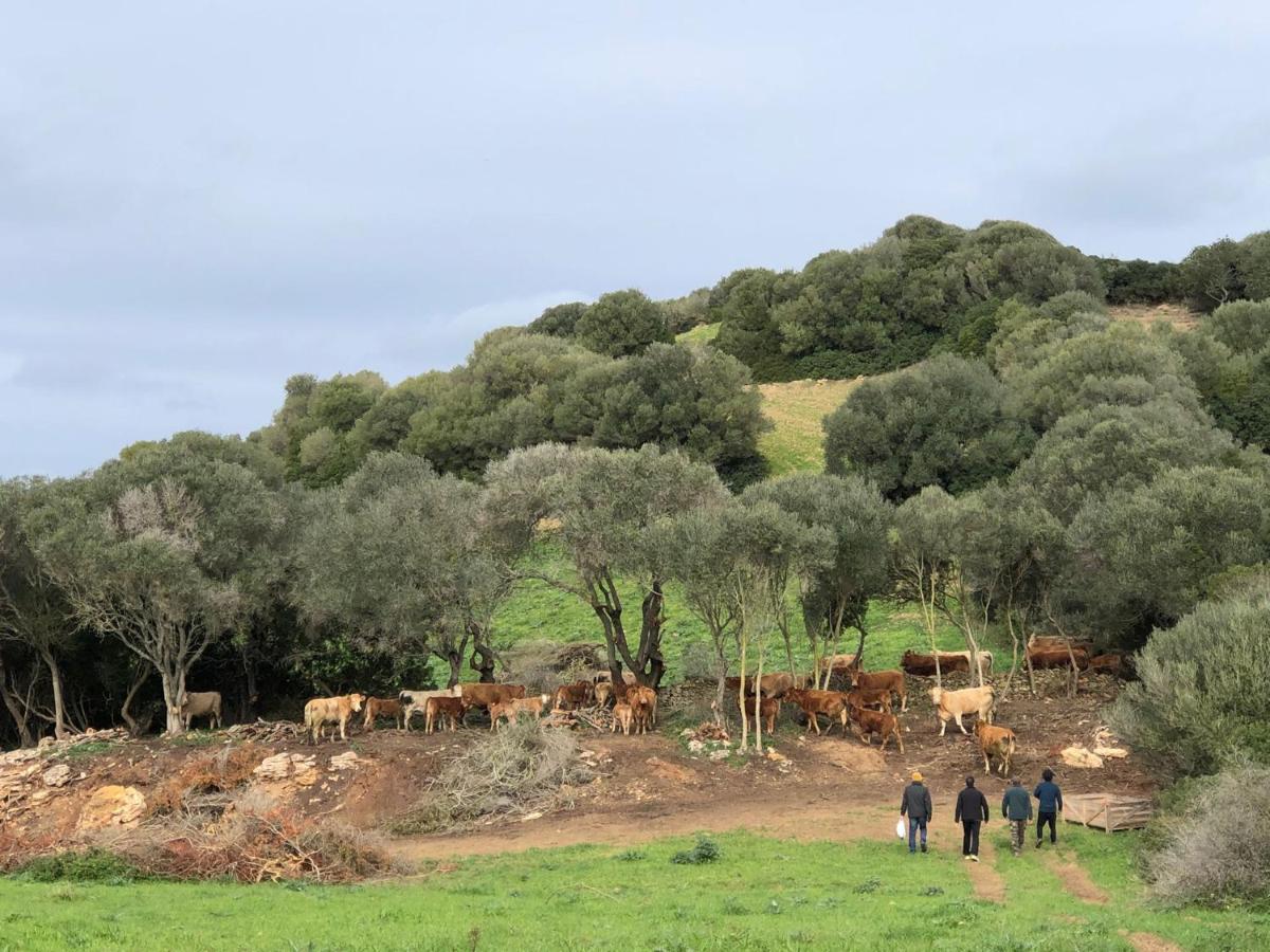 Casa Rural Reformada Bini Aumaia Hostal Es Mercadal Exterior foto