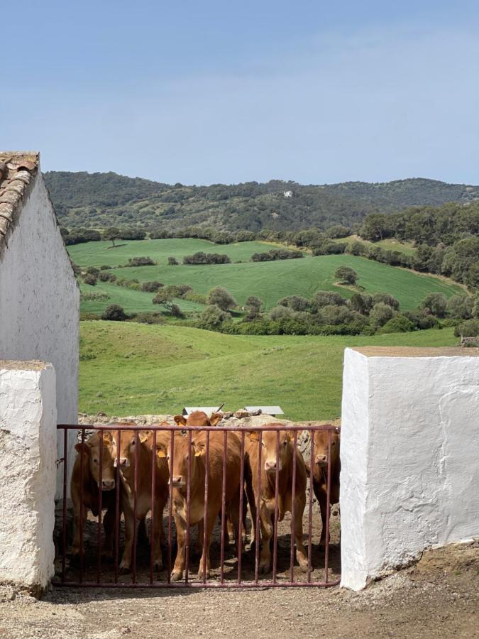 Casa Rural Reformada Bini Aumaia Hostal Es Mercadal Exterior foto